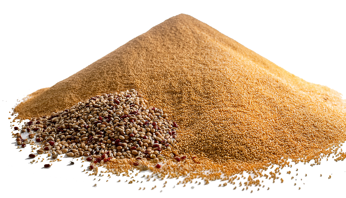 grains multi-12