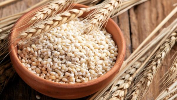 Barley – Premium Quality Whole Grains 🌾 - Image 2