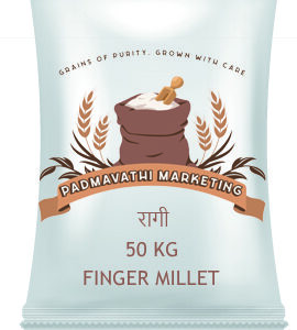 Finger Millet (Ragi) – Premium Quality Whole Grains