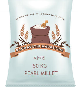 Pearl Millet (Bajra) – Premium Quality Whole Grains 🌾
