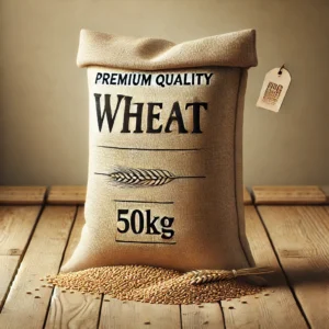 Wheat – Premium Quality Whole Grains 🌾