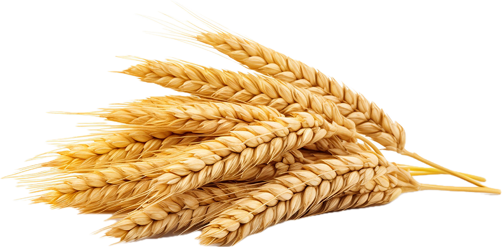 grains