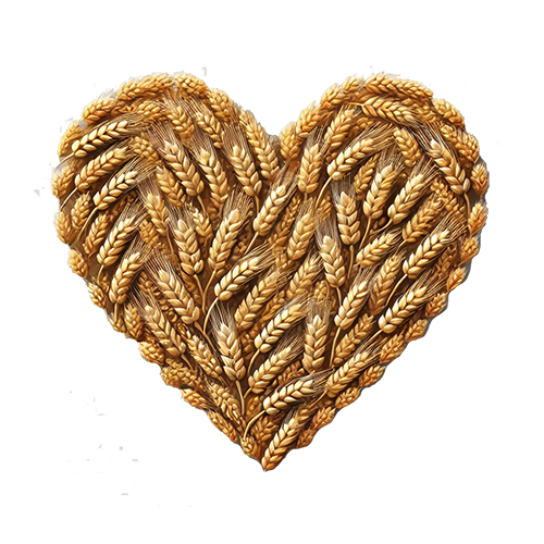 wheat grains-500